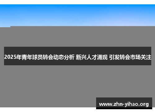 2025年青年球员转会动态分析 新兴人才涌现 引发转会市场关注