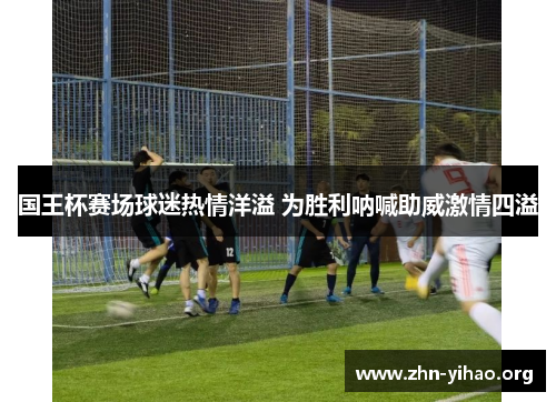 国王杯赛场球迷热情洋溢 为胜利呐喊助威激情四溢