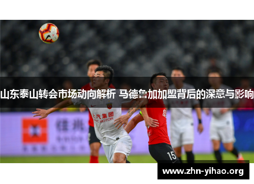 山东泰山转会市场动向解析 马德鲁加加盟背后的深意与影响