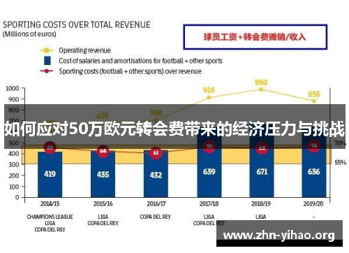 如何应对50万欧元转会费带来的经济压力与挑战