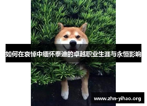 如何在哀悼中缅怀泰迪的卓越职业生涯与永恒影响 如何在哀悼中缅怀泰迪的卓越职业生涯与永恒影响