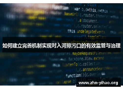 如何建立完善机制实现对入河排污口的有效监管与治理