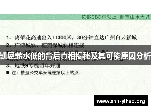 凯恩薪水低的背后真相揭秘及其可能原因分析