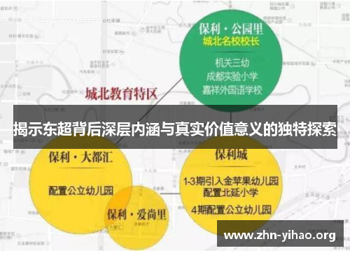 揭示东超背后深层内涵与真实价值意义的独特探索